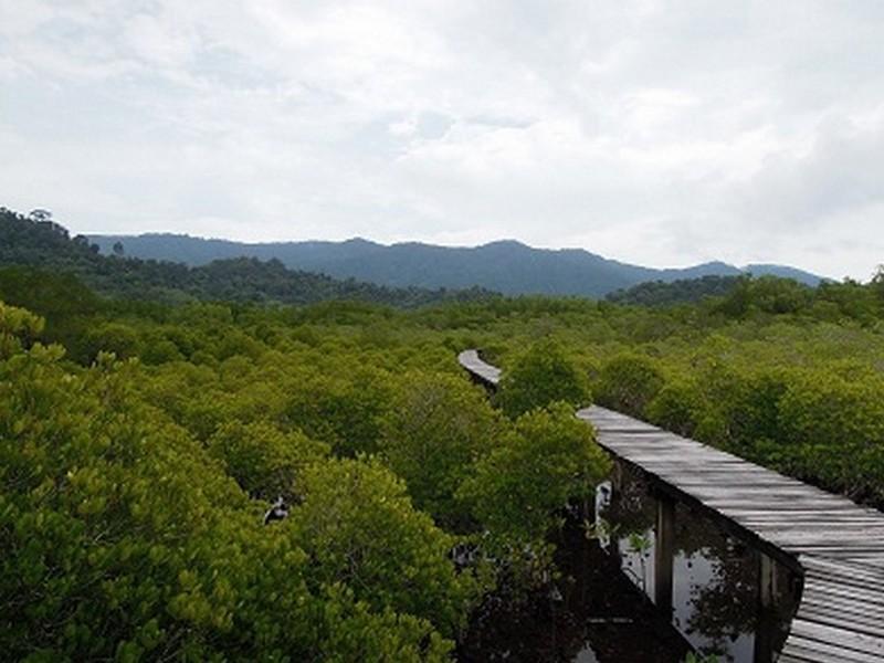 The Mangrove Hideaway Kohchang Koh Chang Exterior photo